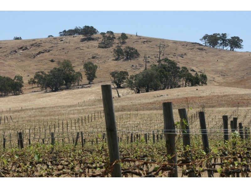 1785 St Arnaud Road, Shays Flat, Landsborough VIC 3384