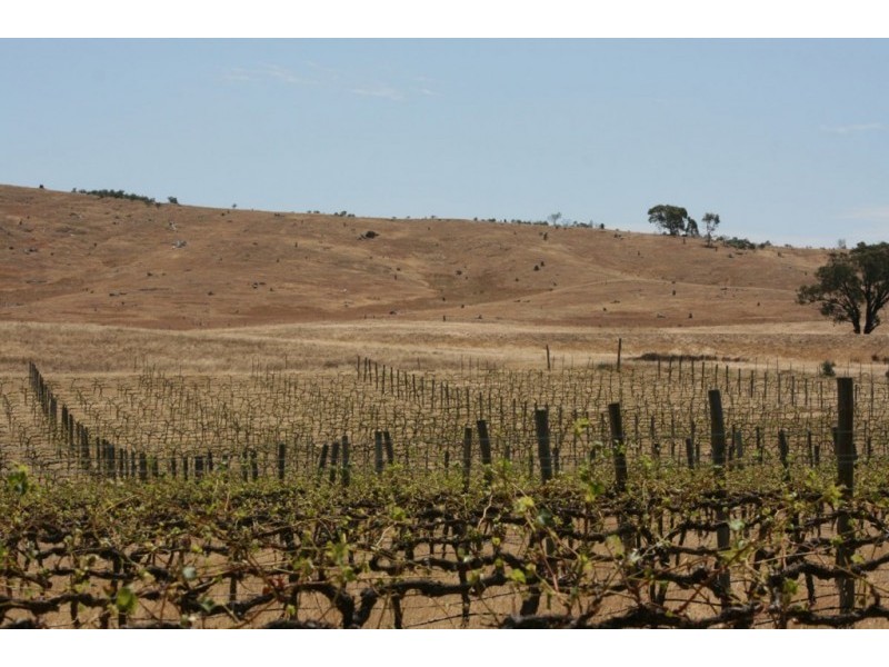 1785 St Arnaud Road, Shays Flat, Landsborough VIC 3384