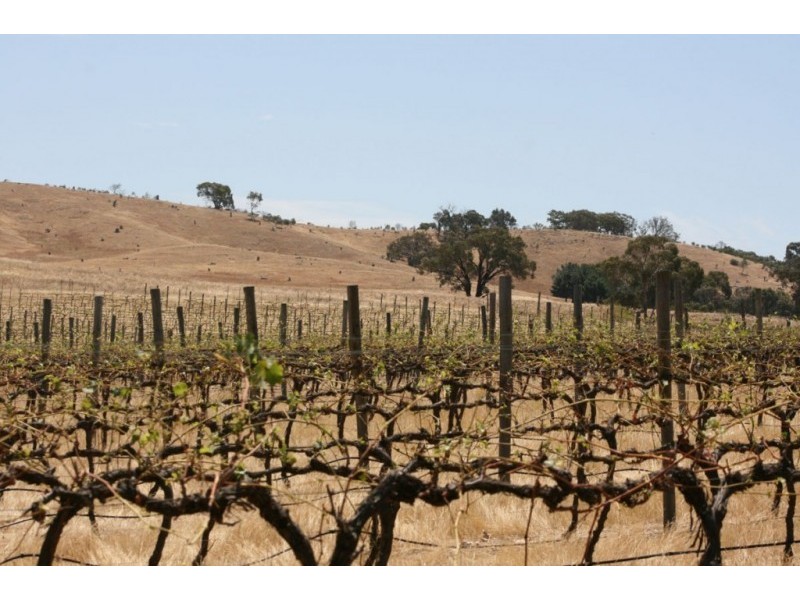 1785 St Arnaud Road, Shays Flat, Landsborough VIC 3384