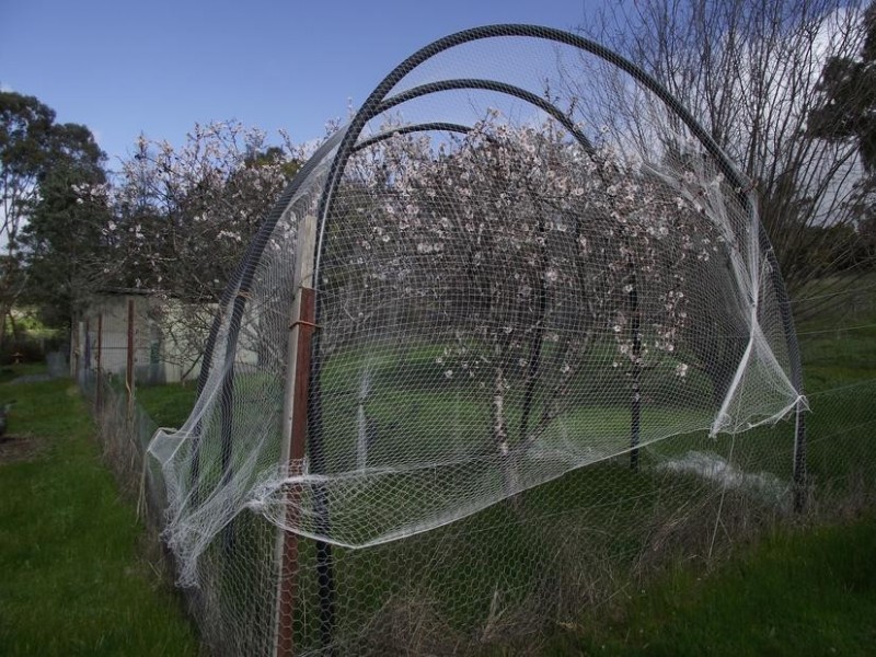 44 Dunkeld Road, Moyston VIC 3377