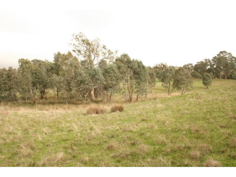 1 Pyrenees Highway, Elmhurst VIC 3469