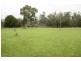 91 Blind Creek Road, Elmhurst VIC 3469