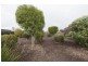 162 Moore Street, Ararat VIC 3377