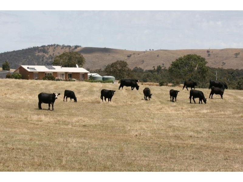 76 Old Brewery Road, Armstrong VIC 3377