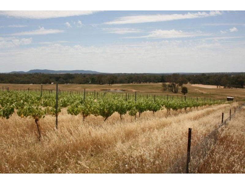 76 Old Brewery Road, Armstrong VIC 3377