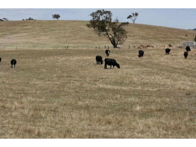 76 Old Brewery Road, Armstrong VIC 3377