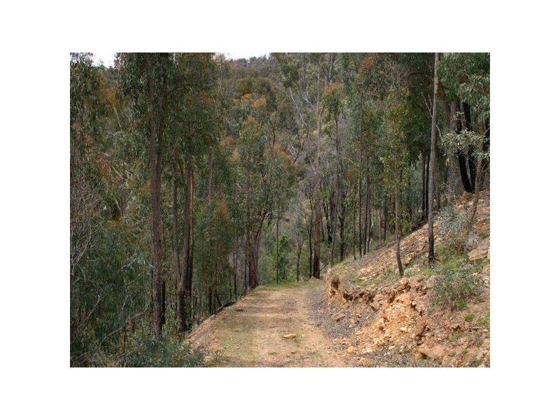 Lot 16A Elmhurst Glenpatrick ROAD, Elmhurst VIC 3469