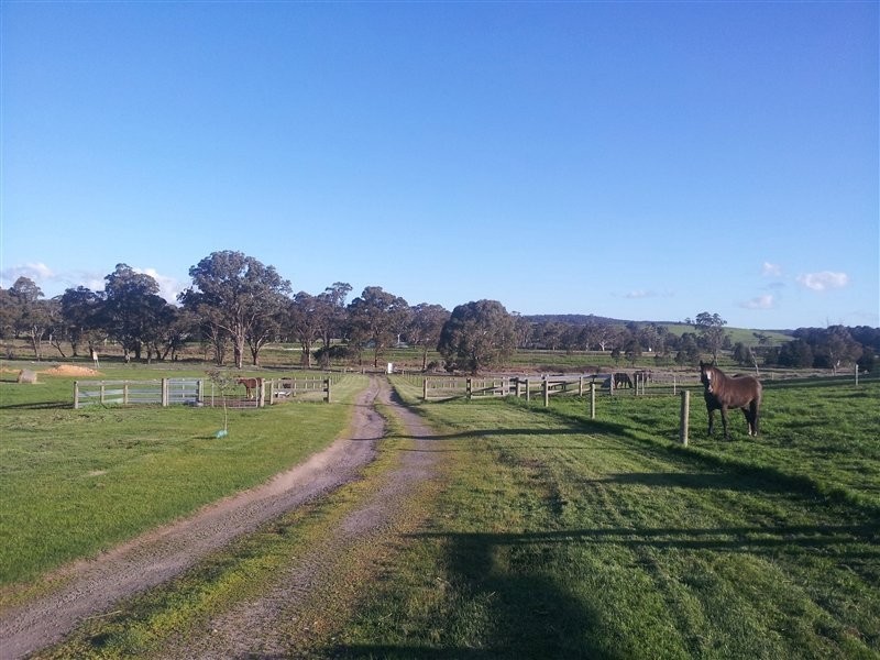 213 Lexton Road, Beaufort VIC 3373