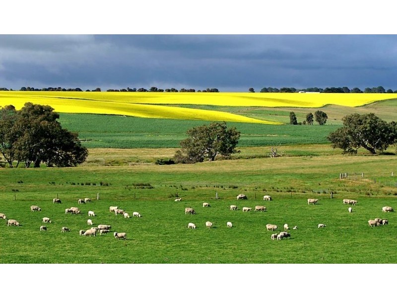 122 Cemetery Road & Glenelg Highway, Wickliffe VIC 3379