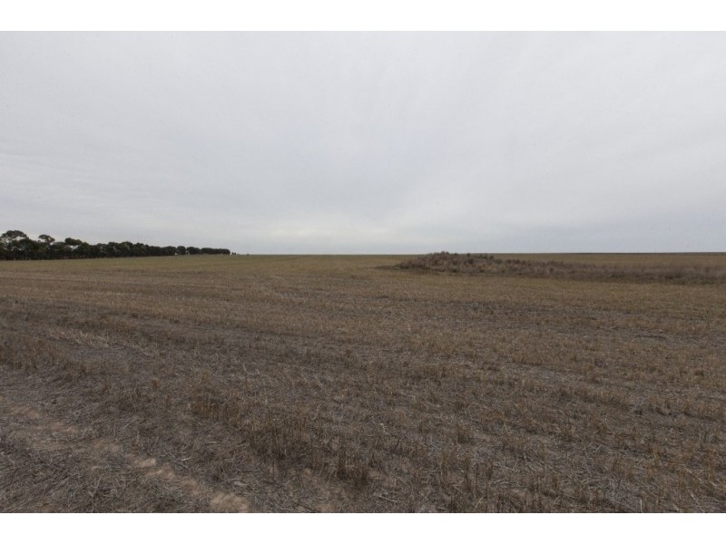 122 Cemetery Road & Glenelg Highway, Wickliffe VIC 3379