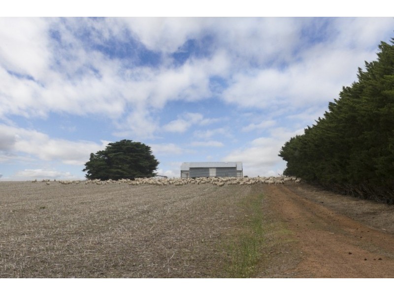 122 Cemetery Road & Glenelg Highway, Wickliffe VIC 3379