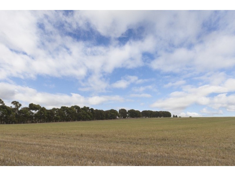 122 Cemetery Road & Glenelg Highway, Wickliffe VIC 3379