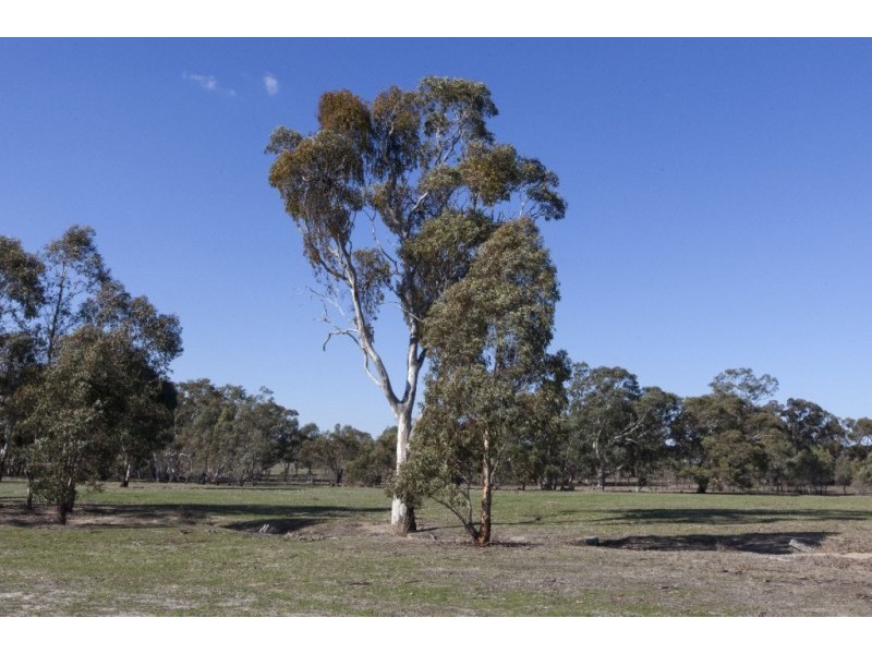 Lot 2, 132 Wadsworth Road, Stawell VIC 3380