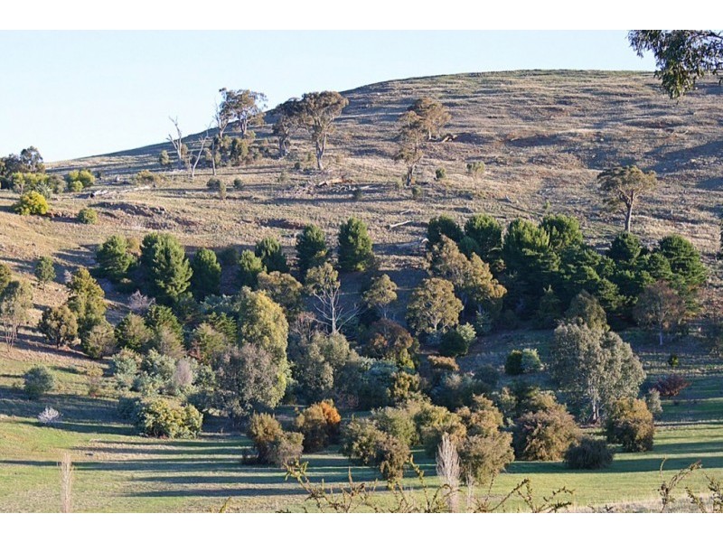 16 Jeffery Lane, Landsborough VIC 3384