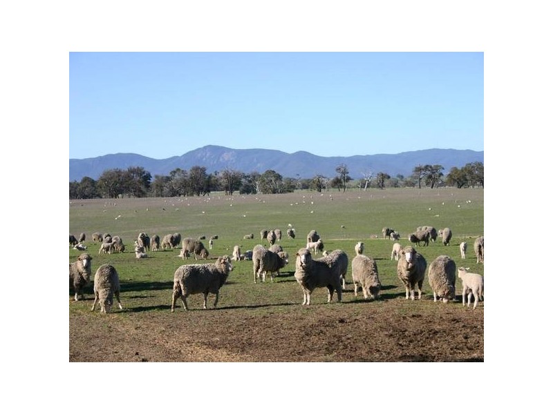 4761 Pyrenees HIGHWAY, Dunneworthy VIC 3377