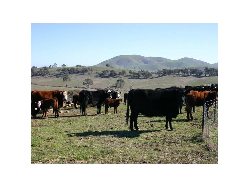 4761 Pyrenees HIGHWAY, Dunneworthy VIC 3377