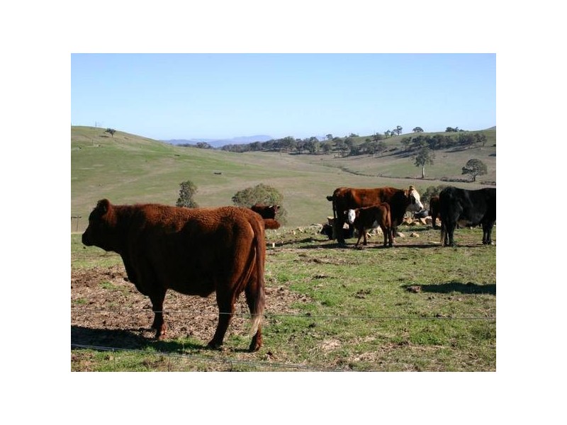 4761 Pyrenees HIGHWAY, Dunneworthy VIC 3377