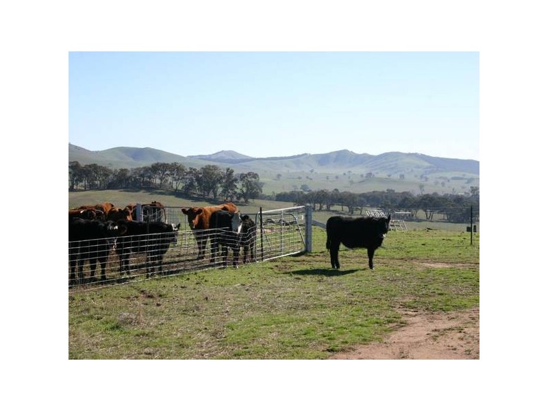 4761 Pyrenees HIGHWAY, Dunneworthy VIC 3377