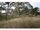 18 Mortlake – Ararat Road, Maroona VIC 3377