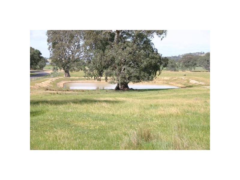 48 Jacksons Creek Road, Ararat VIC 3377