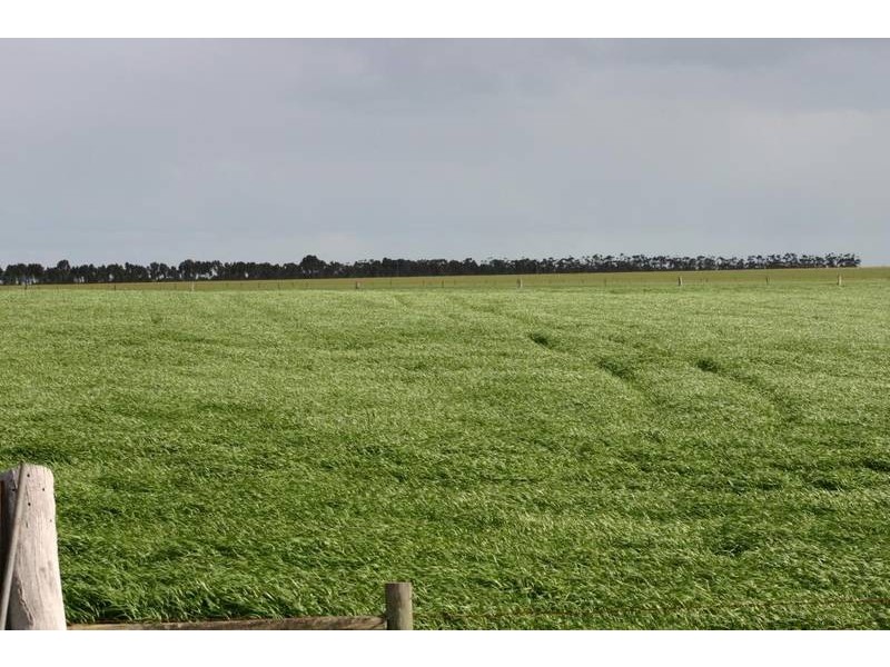 39 Grahams Road, Lake Bolac VIC 3351