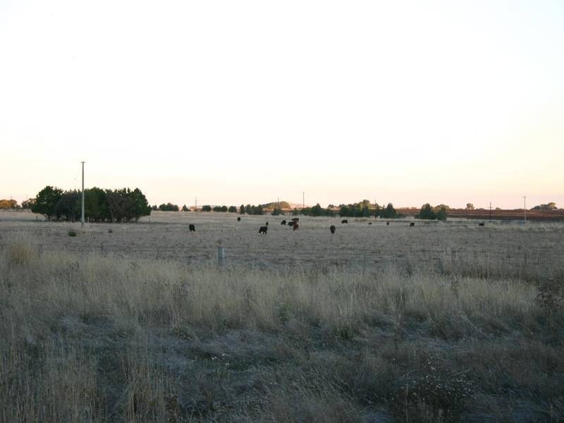 241 Western Highway, Ararat VIC 3377