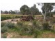 1703 Joel Joel Road, Crowlands VIC 3377