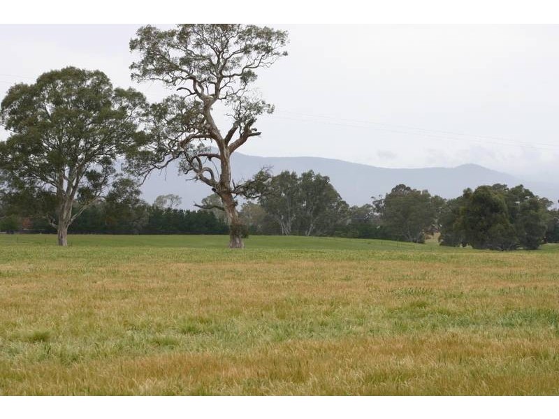 1703 Joel Joel Road, Crowlands VIC 3377