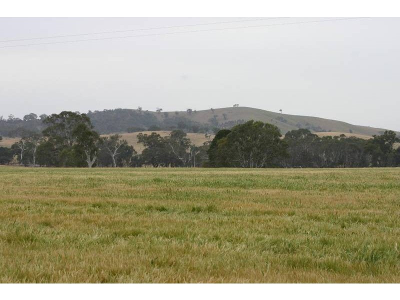 1703 Joel Joel Road, Crowlands VIC 3377