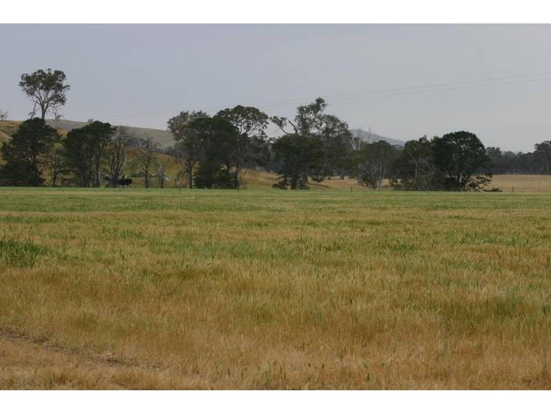 1703 Joel Joel Road, Crowlands VIC 3377