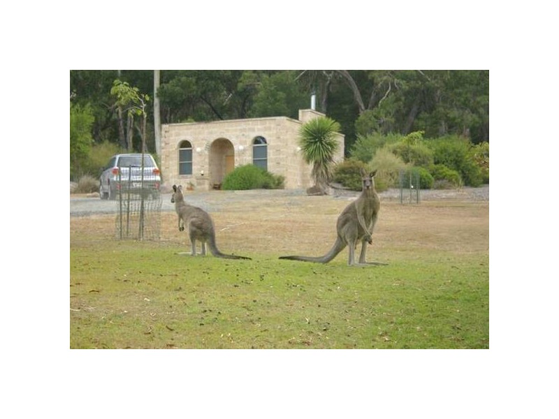 31 Mount Zero Road, Halls Gap VIC 3381