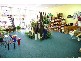 146 Barkly St, Ararat VIC 3377