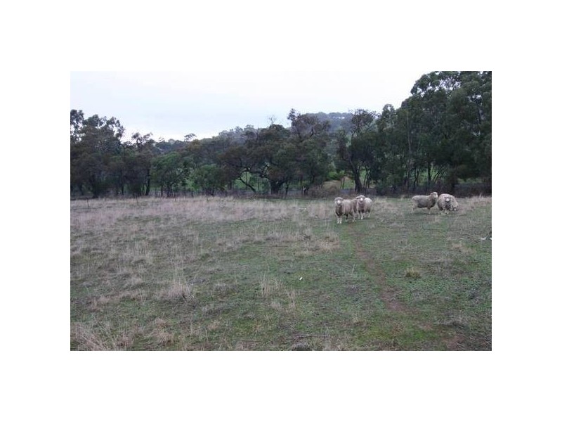 205 Burke Road, Ararat VIC 3377