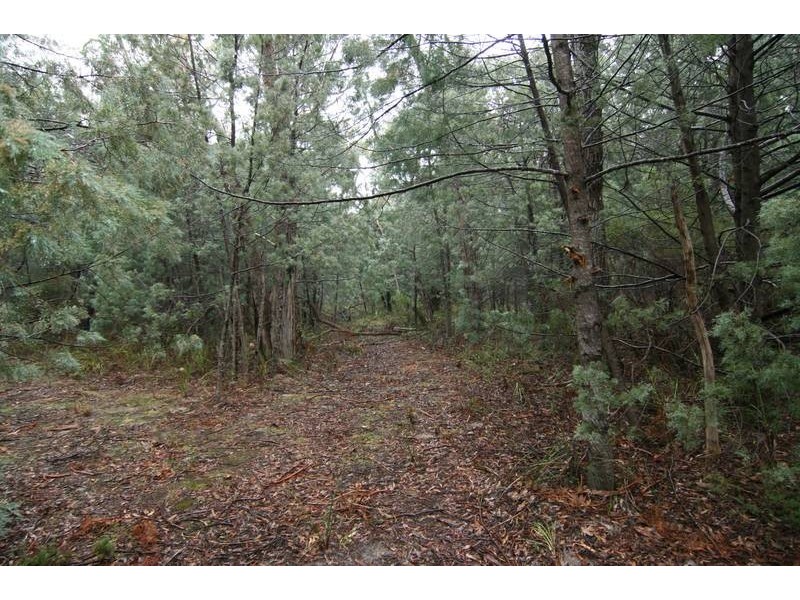 5 Grampians Road, Halls Gap VIC 3381