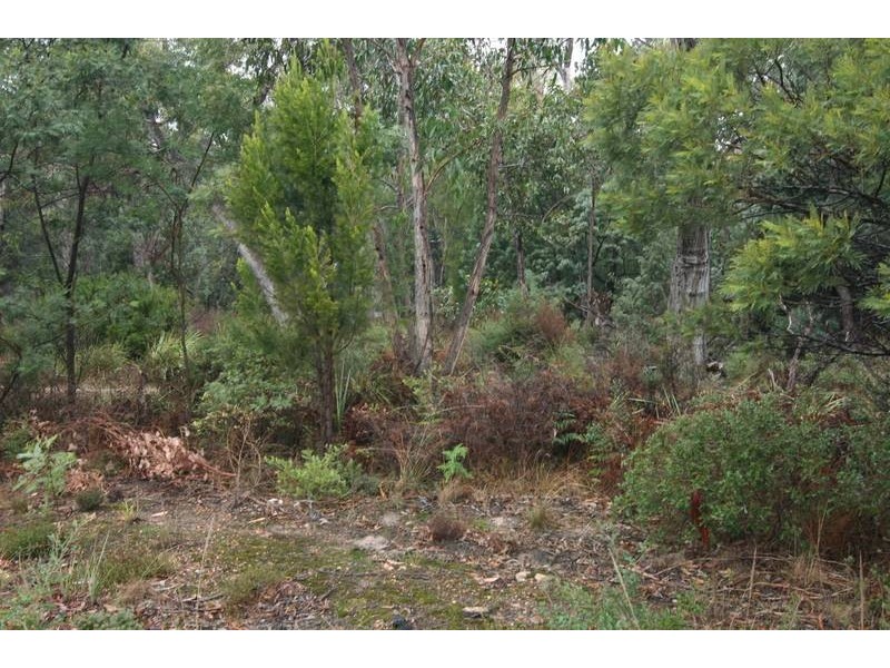 5 Grampians Road, Halls Gap VIC 3381