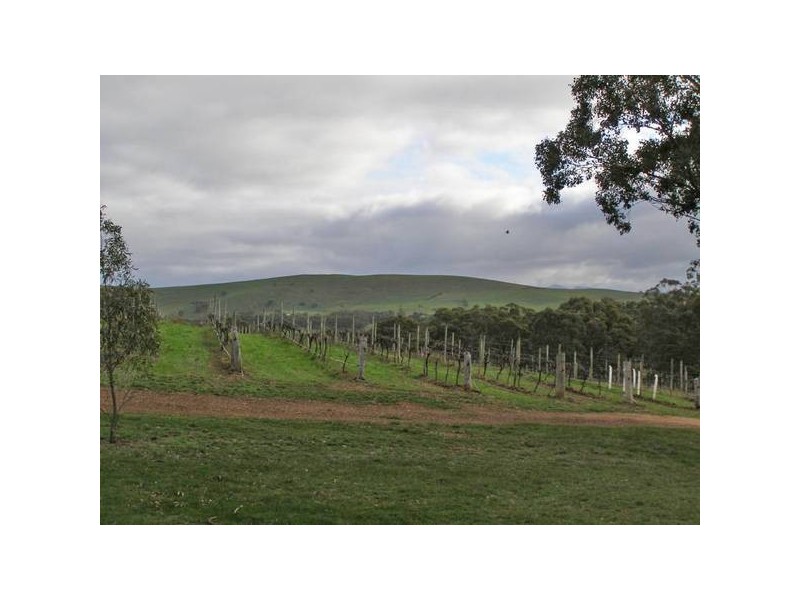 158 Byron Road, Cathcart VIC 3377