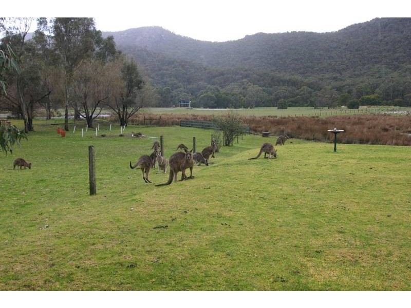 153 Grampians Road, Halls Gap VIC 3381
