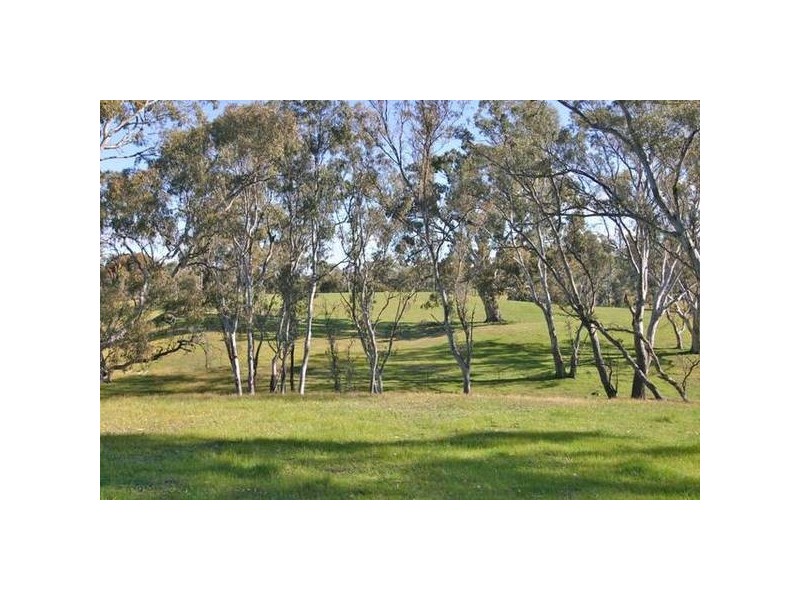 2335 Buangor-Ben Nevis Rd, Crowlands VIC 3377