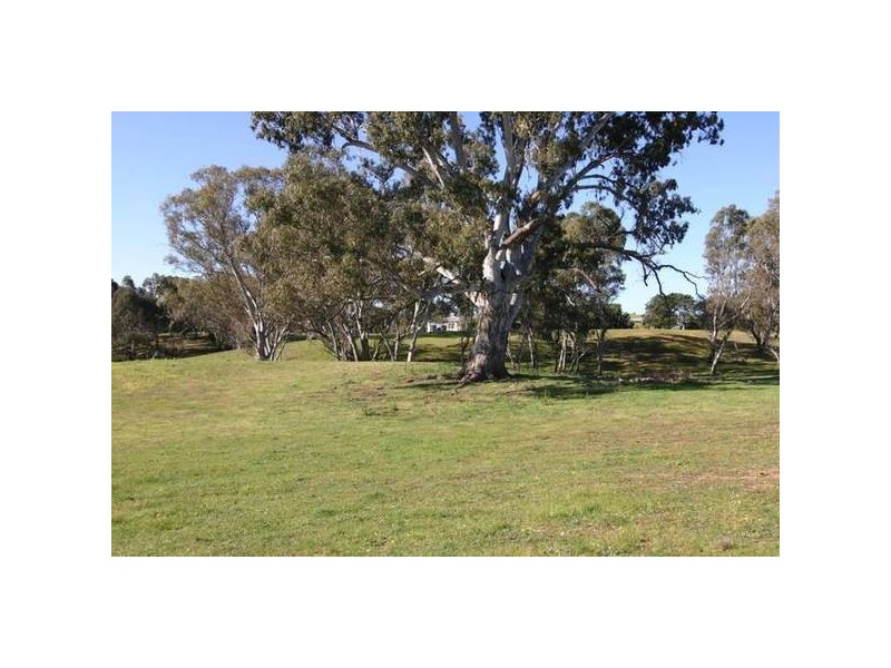 2335 Buangor-Ben Nevis Rd, Crowlands VIC 3377