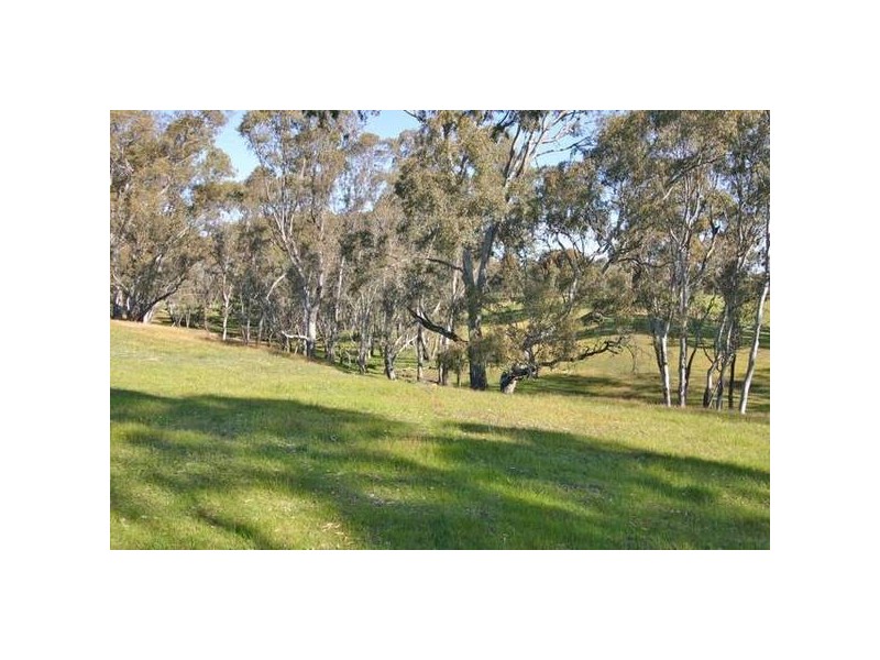 2335 Buangor-Ben Nevis Rd, Crowlands VIC 3377