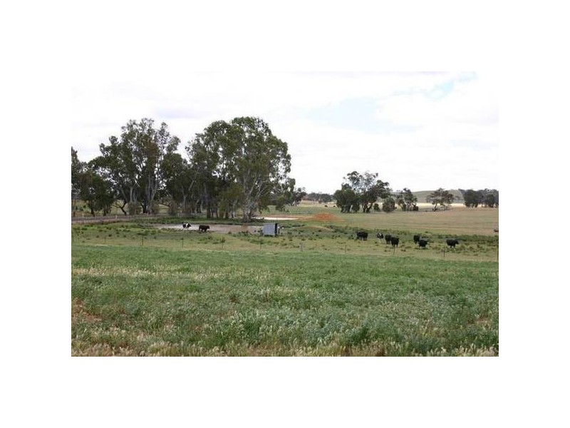 696 Ararat / St Arnuad Road, Crowlands VIC 3377