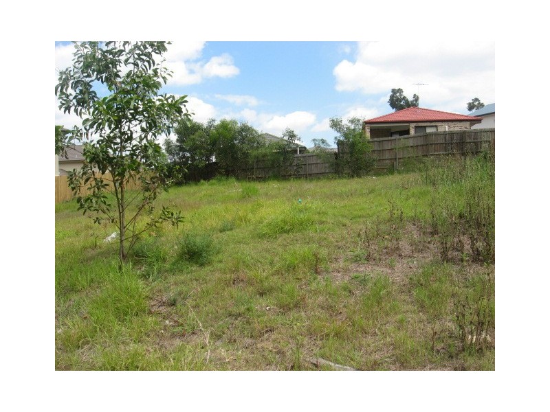 33 Wanderer Cr, Springfield Lakes QLD 4300