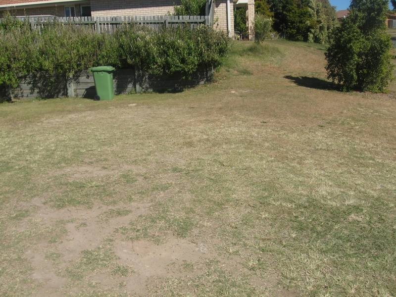 49 Streamview Crescent, Springfield QLD 4300