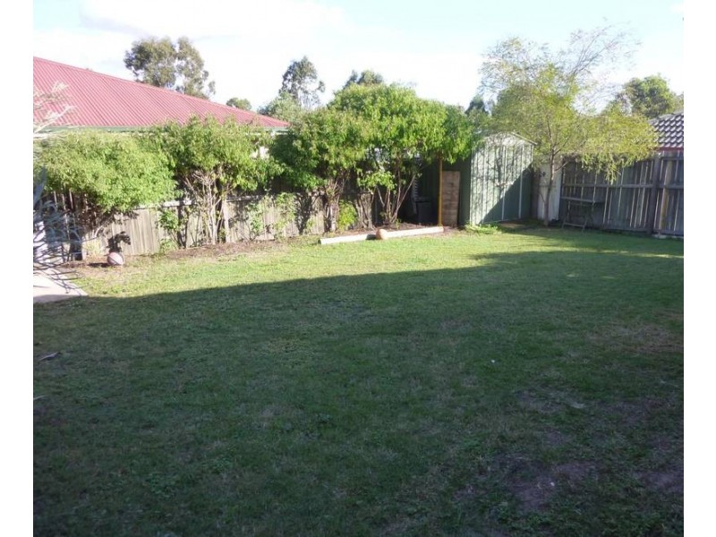 4 Arborwood street, Springfield QLD 4300