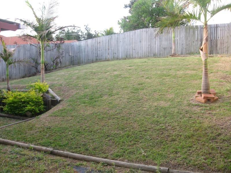 23 Ravenswood Lane, Springfield QLD 4300