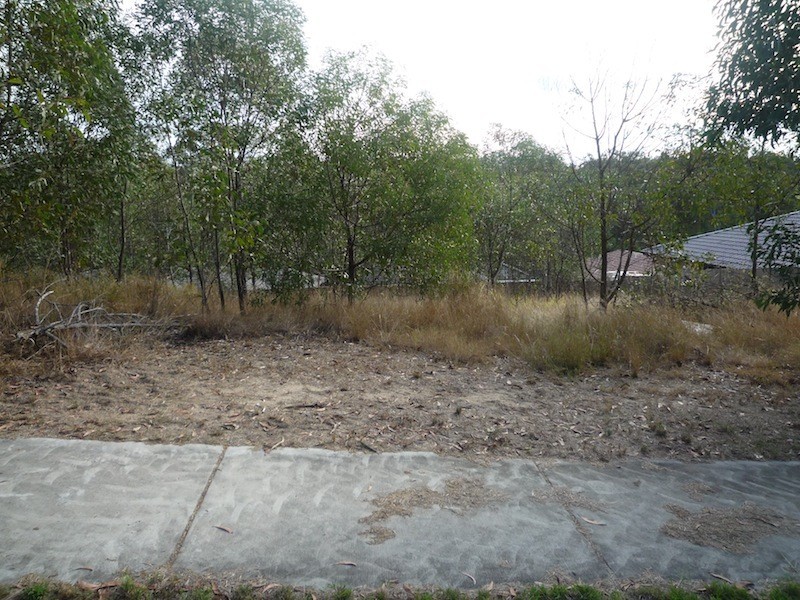 Lot 236, 3 Gumleaf Pl, Springfield QLD 4300