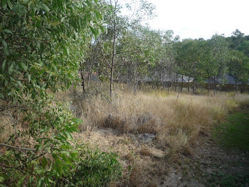 Lot 236, 3 Gumleaf Pl, Springfield QLD 4300