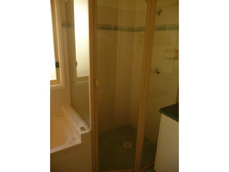 11 Gila Place, Springfield QLD 4300