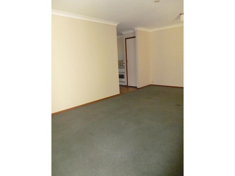10 Tindle Street, Redbank Plains QLD 4301
