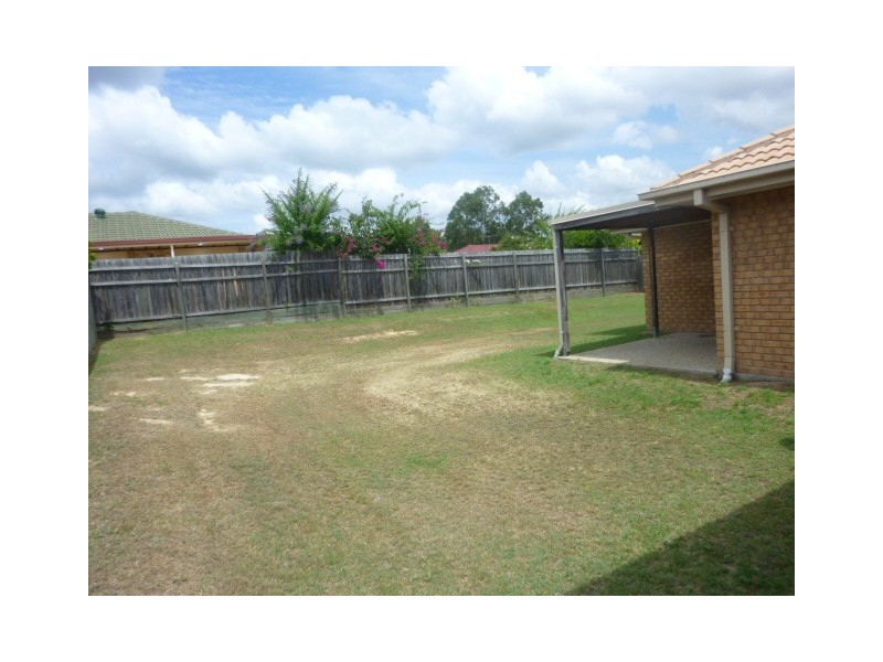 20 Moselle Street, Springfield QLD 4300